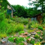 Vogelfreundlicher_Garten