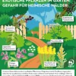 pefc-infografik_neophyten