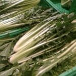 Catalogna_Wikipedia_Bobek_CC_BY_3.0