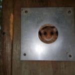 Haselmaus im Versteck Niederberger