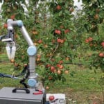 Robot der aepfel pflückt