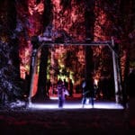 Spielplatz-Zauberwald