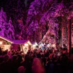 Zauberwald Marktdörfchen