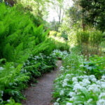 Gartengestaltung -Traumpaar Grün und Weiß: Farbenkombi mit Grandezza