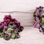 Kalettes-02_Quelle-Kalettes-ch