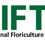 IFTF logo