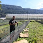 Schneckenzucht_luca-belossi-cadenazzo_rho