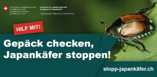 Kampagne «Stopp Japankäfer» lanciert Initiative des Bundes zum Stopp des Japankäfers